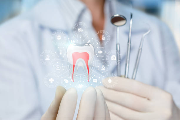 Best Traditional Braces  in Dentsville, SC